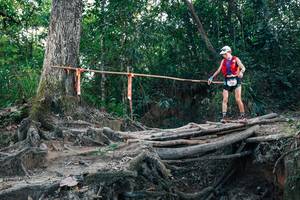 BIB: 
                            <button type="button" onclick="openModal(27309543)" class="btn btn-primary btn-sm float-right btn-popup" data-toggle="modal" data-target=".modal-high-quality">
                        <i class="fas fa-shopping-cart"></i> Add to Cart
                    </button>
                                            <button type="button" onclick="isThisMe(27309543, true)" class="btn btn-success btn-sm float-right btn-popup btn-isme hidden" data-toggle="tooltip" data-placement="bottom" title="นี่คือรูปของคุณใช่ไหม คลิกที่นี่เพื่อเอาเข้าอัลบั้ม">
                        <i class="fas fa-plus"></i> Add to album
                    </button>
                    <button type="button" onclick="isThisMe(27309543, false)" class="btn btn-warning btn-sm float-right btn-popup btn-isnotme hidden">
                        <i class="fas fa-ban"></i> Remove from album
                    </button>